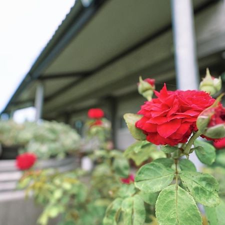 Taitung City-Cottage B&B Екстер'єр фото