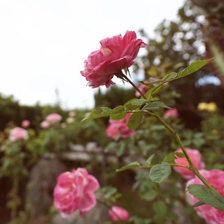 Taitung City-Cottage B&B Екстер'єр фото