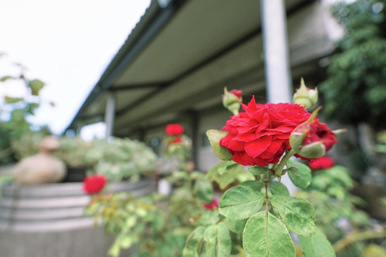 Taitung City-Cottage B&B Екстер'єр фото